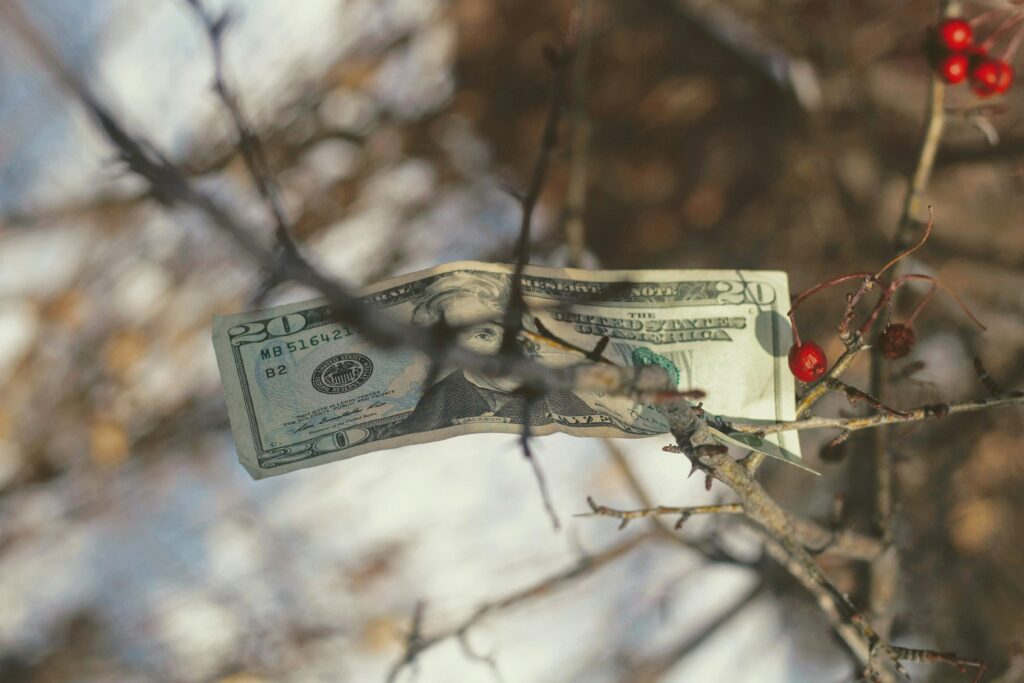 Dolar zawieszony na gałęzi głogu