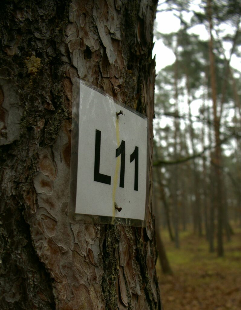 Plakietka obrazująca indywidualny numer inwentaryzowanego drzewa