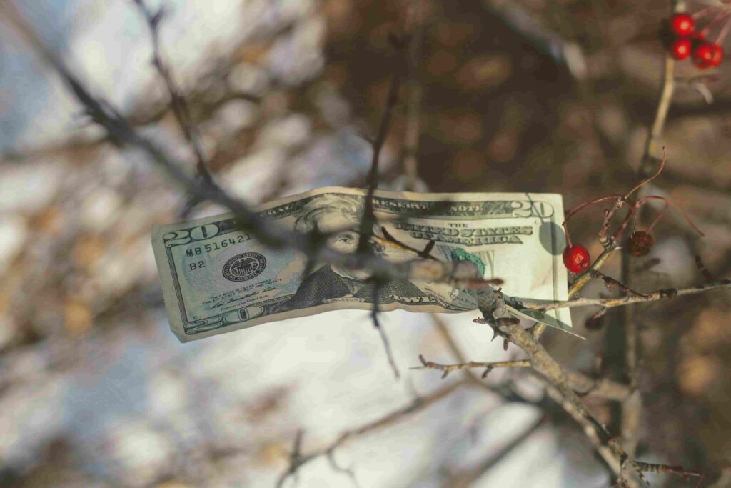 Dolar zawieszony na gałęzi głogu