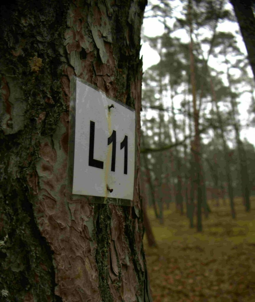 Plakietka obrazująca indywidualny numer inwentaryzowanego drzewa